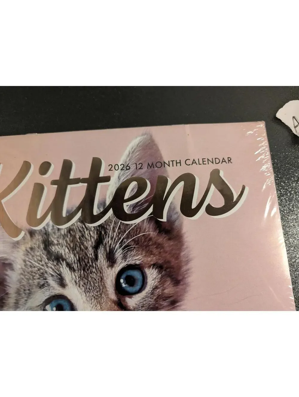 2026 Kittens 12-Month Wall Calendar - 12